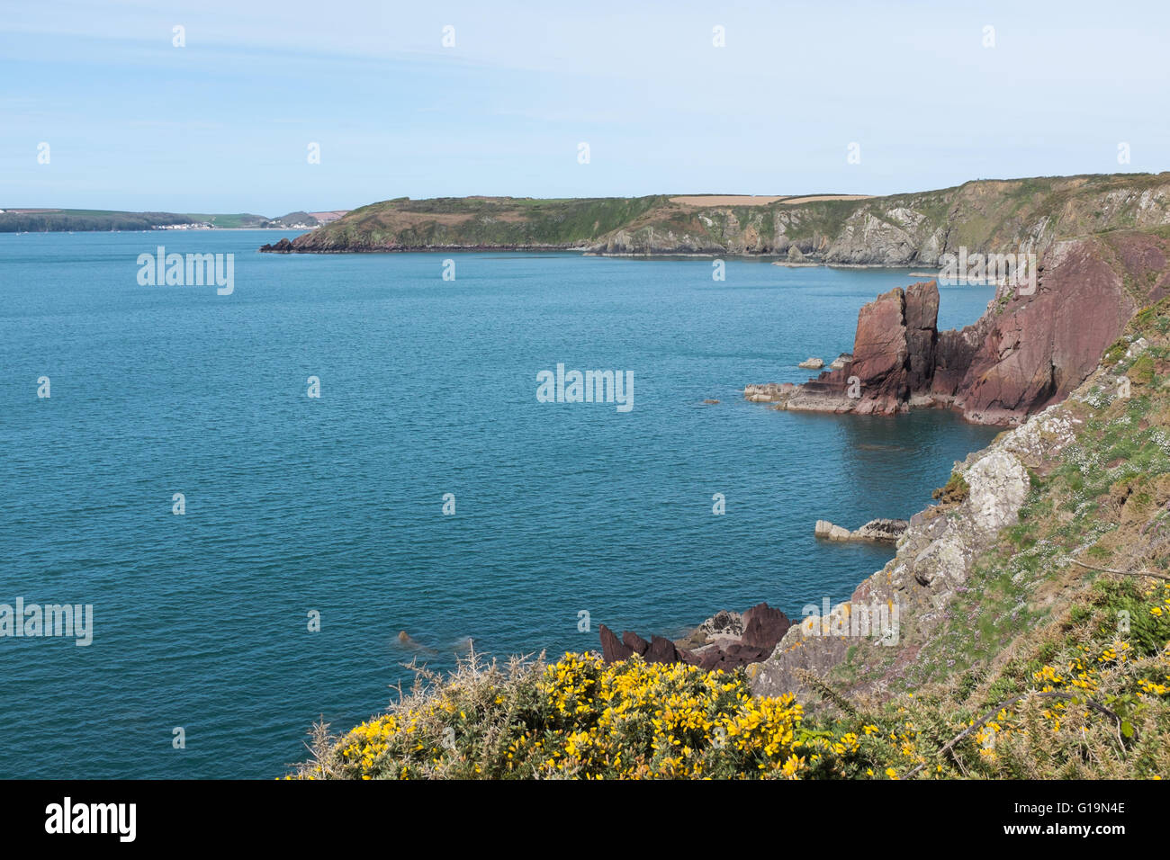 Blick über Wenall Bay und Watch House Bay an der Küste von Pembrokeshire in der Nähe von Milford Haven Stockfoto