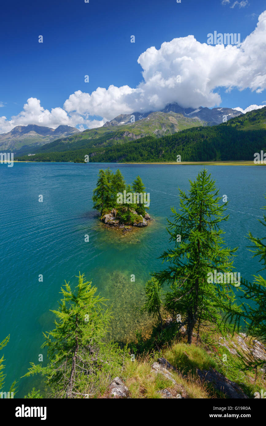 Erstaunliche Sonnentag am Silsersee See in den Schweizer Alpen. Segl, Schweiz, Europa. Stockfoto
