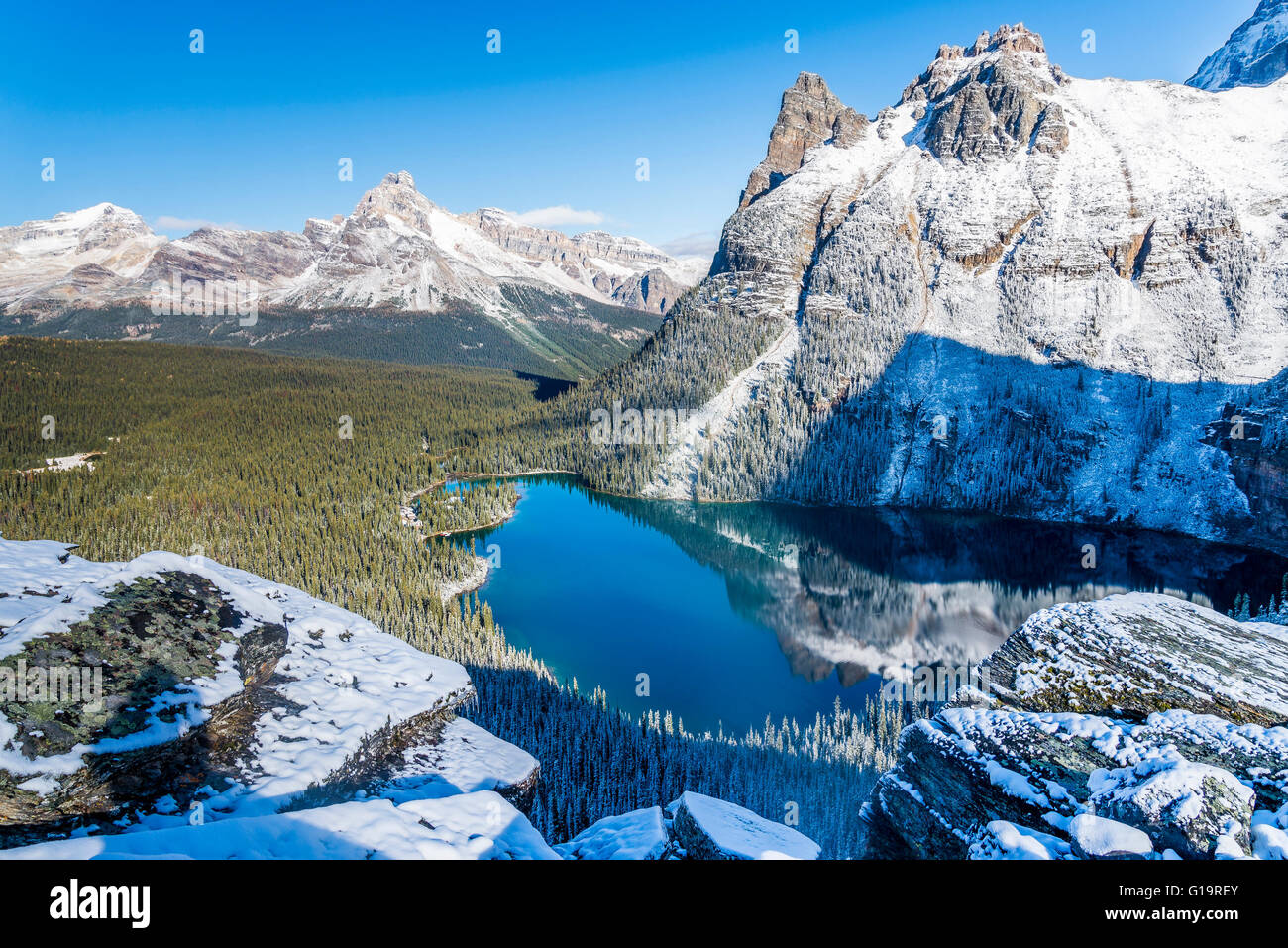 Cathedral Mountain und Wiwaxy Gipfeln, Yoho Nationalpark, Britisch-Kolumbien, Kanada Stockfoto