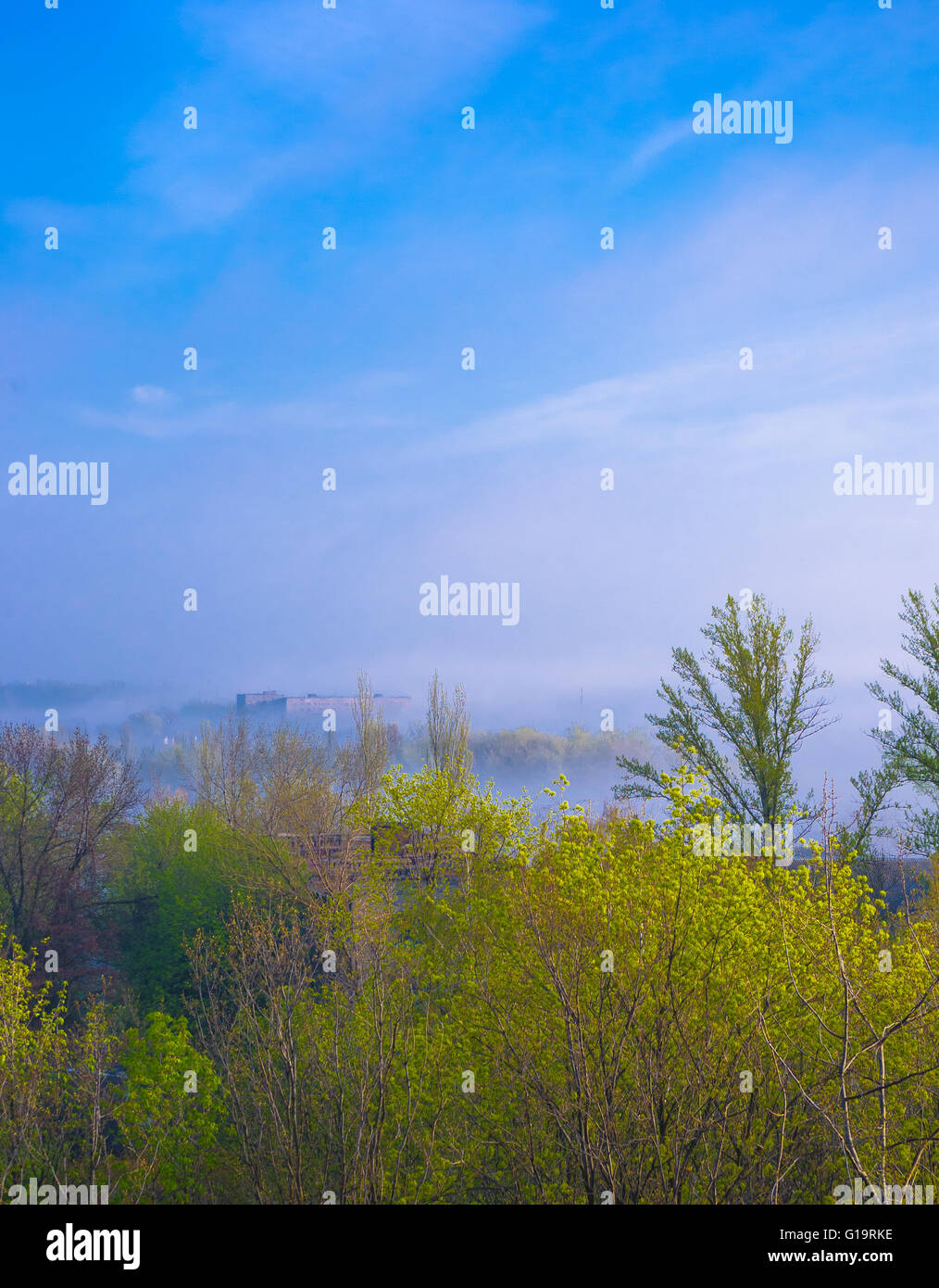 Blick auf die Stadt im Morgennebel im zeitigen Frühjahr Stockfoto