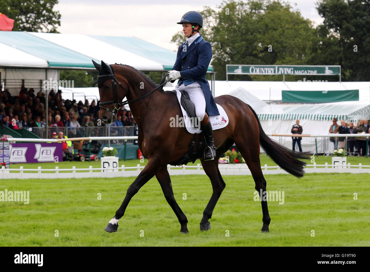 Francis Whittington (Großbritannien) auf übereilte Imp in der Dressur bei der Land Rover Burghley Horse Trials 2015 Stockfoto