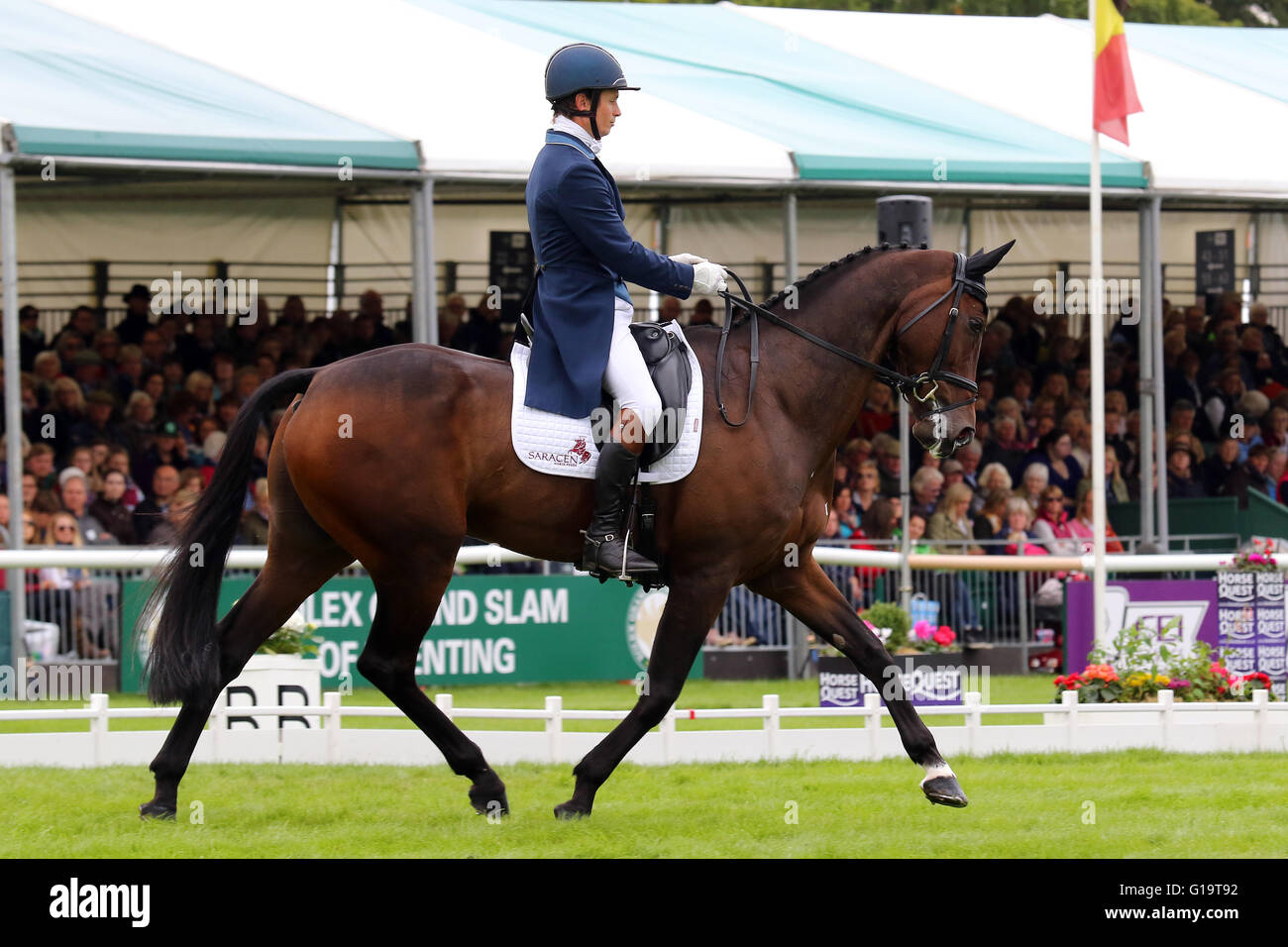 Francis Whittington (Großbritannien) auf übereilte Imp in der Dressur bei der Land Rover Burghley Horse Trials 2015 Stockfoto