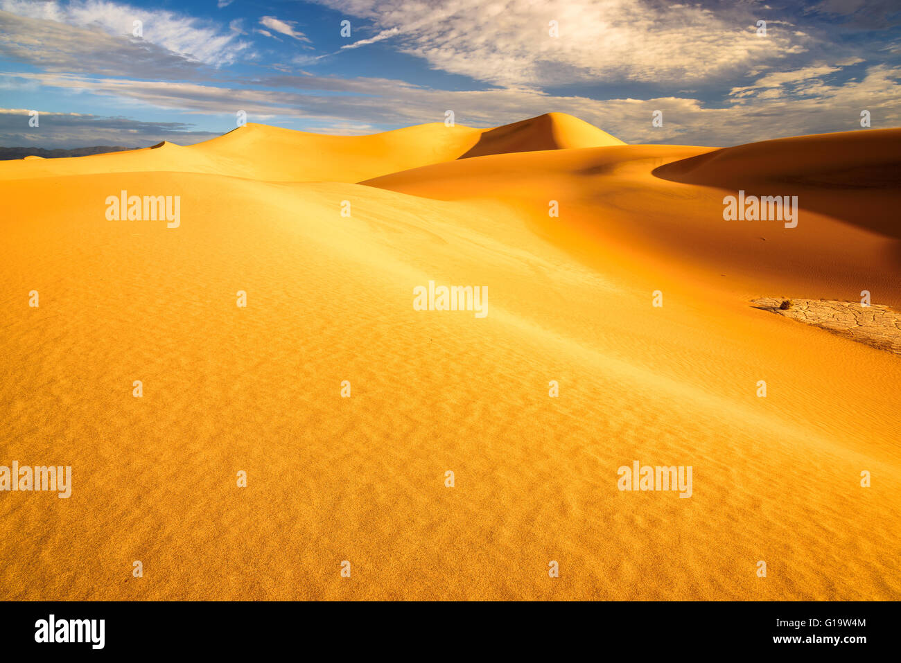 Sanddünen bei Hitze Sonnenaufgang in der Wüste Stockfoto