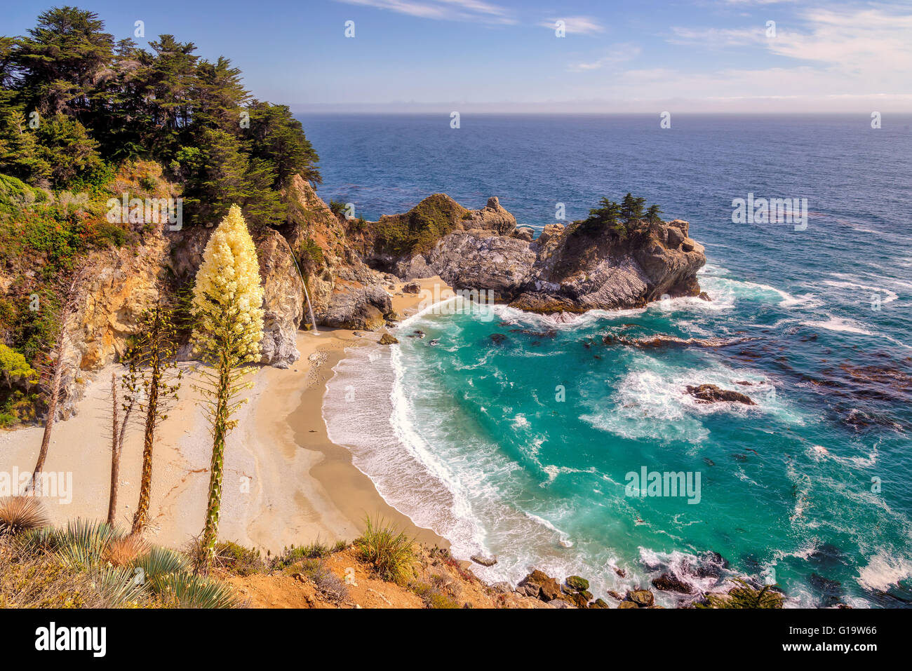 Strand, Wasserfällen und Blumen in Big Sur, Kalifornien Stockfoto