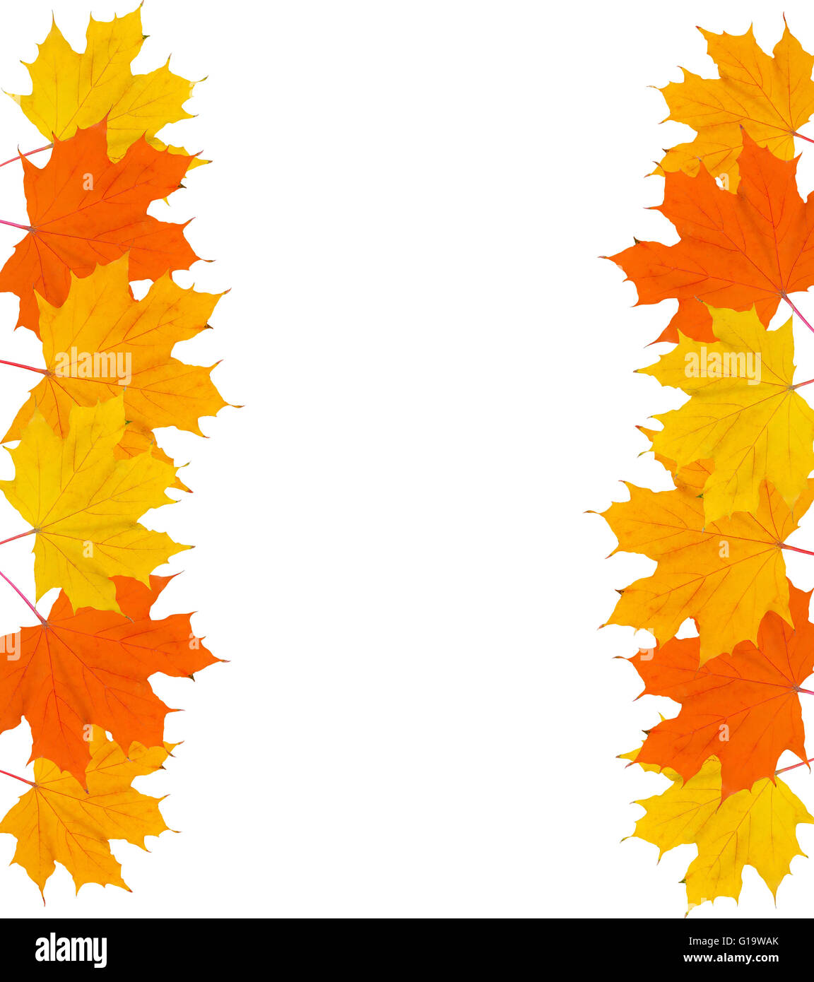 Rahmen der Herbstblumen und Platz für Ihren Text auf weißen Hinterg Stockfoto