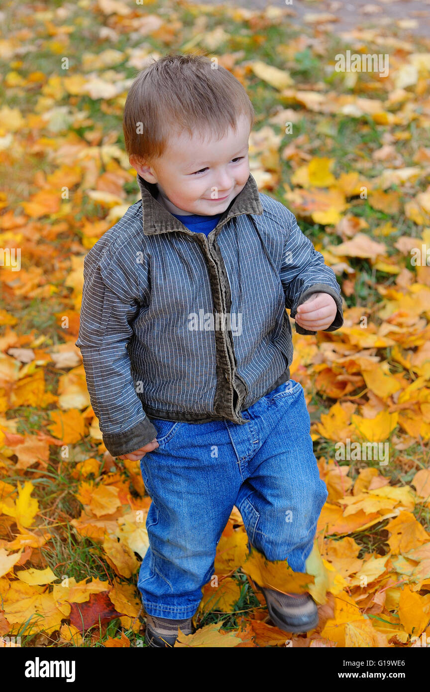 Junge in die gelben Blätter im Herbst Stockfoto