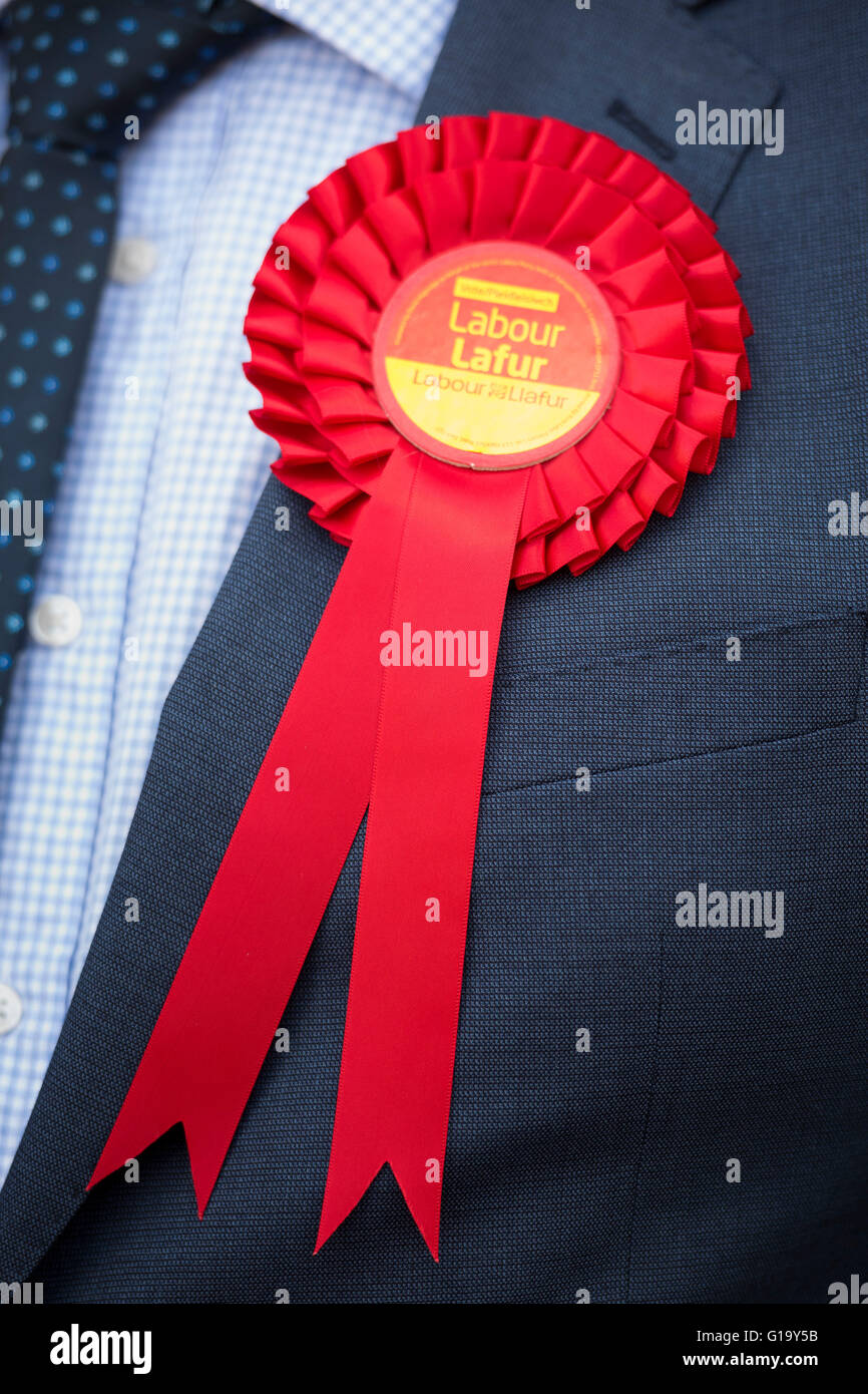 Roten Waliser Arbeit Rosette von einem Welsh Labour Partei Aktivisten getragen. Stockfoto
