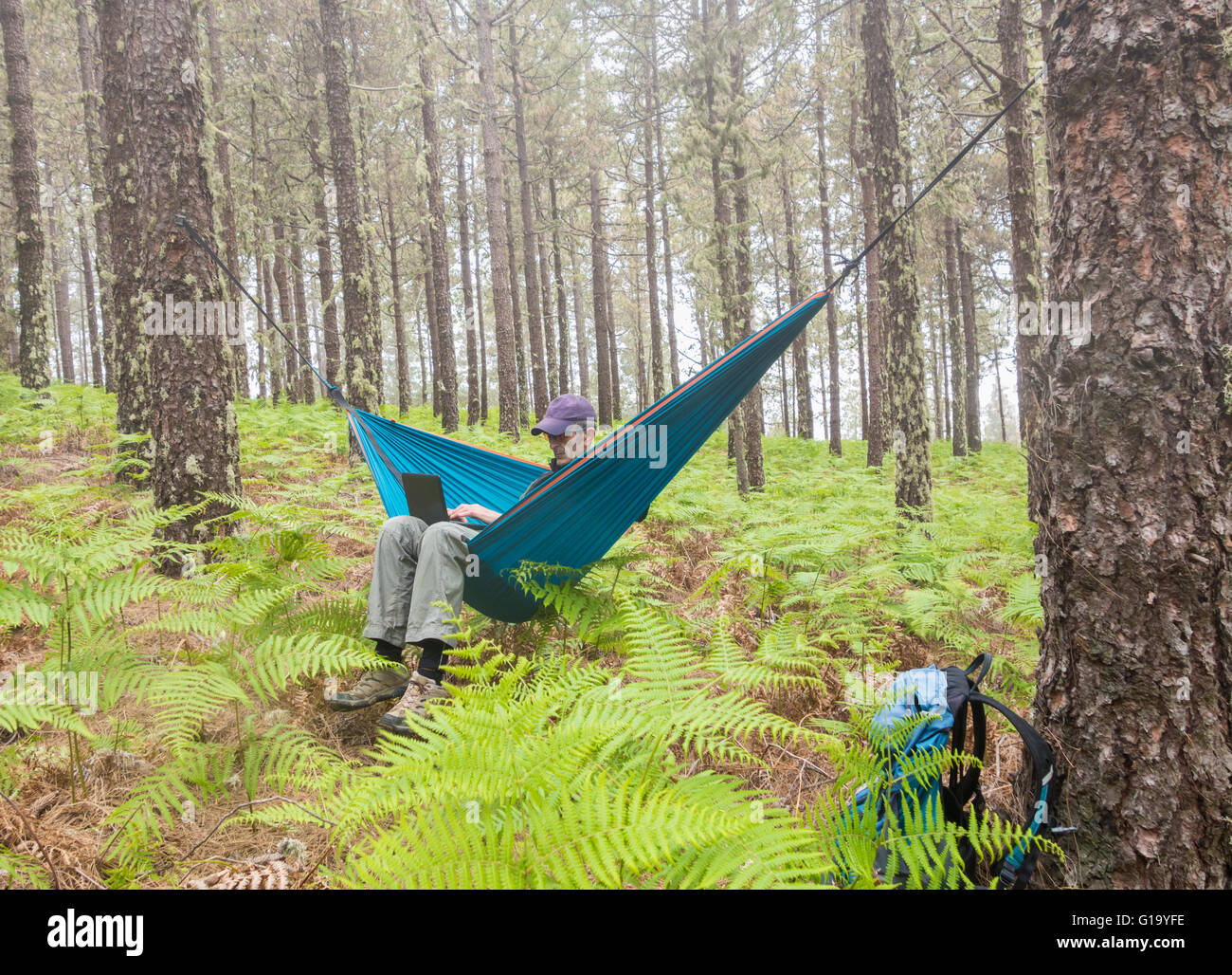 Reifer männlicher Wanderer, der Laptop in der Hängematte im Wald verwendet. Mögliche Einsatzbereiche: Reisen/Remote Working/Adventure/Digital Nomad/Shinrin Yoku Concept Image Stockfoto