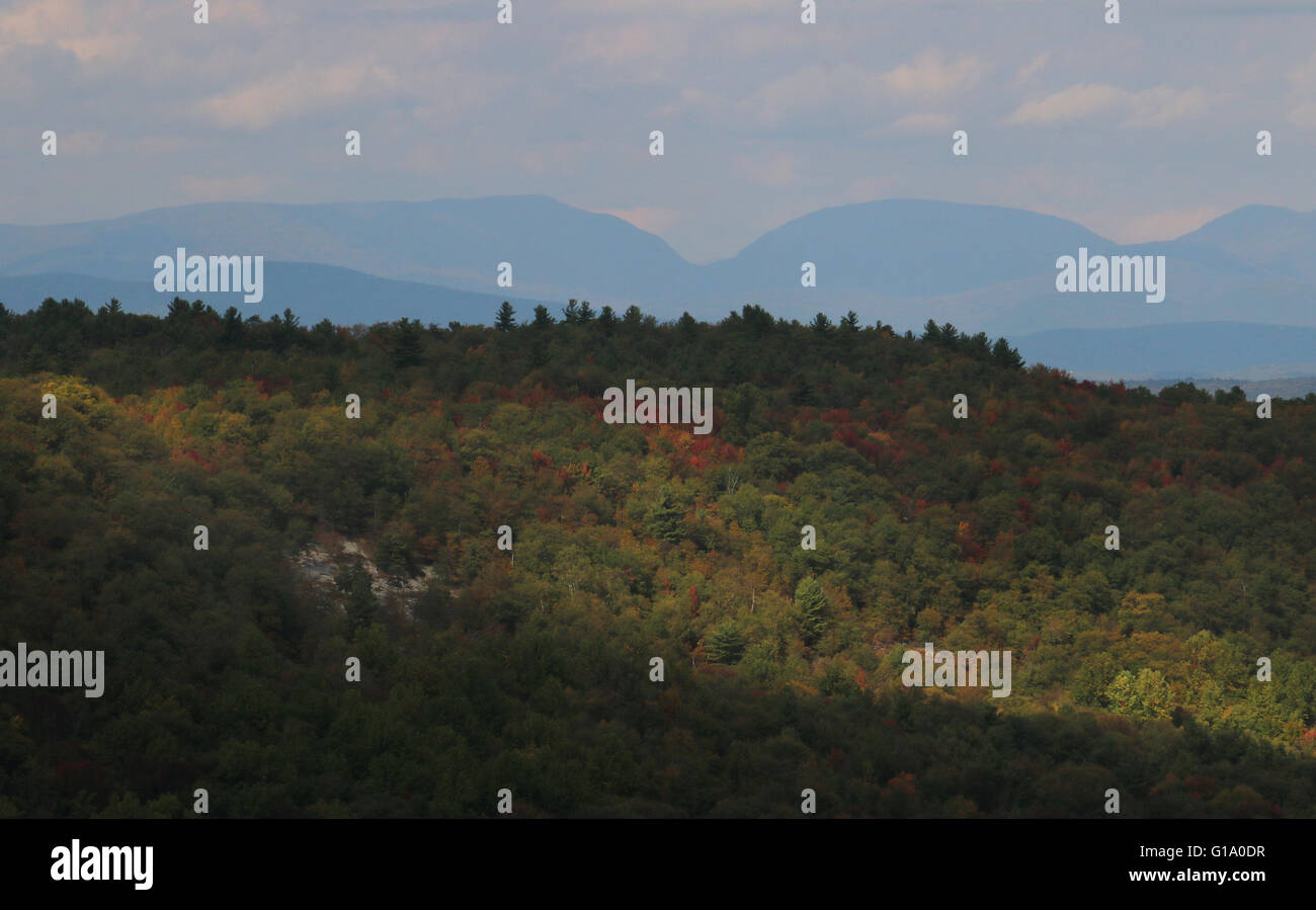 Baum und Felsen Shawangunk Mountains, The Gunks New York Stockfoto