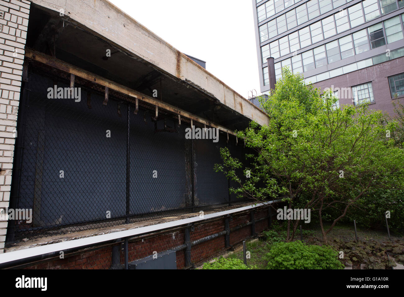 Pflanzen wachsen auf der Hochspannungsleitung neben Fleischerhaken in New York City, USA. Stockfoto