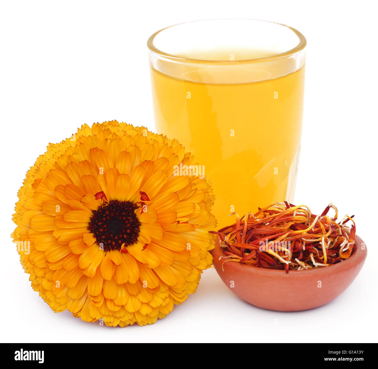 Pflanzliche Calendula Blume mit Extrakt in einem Glas auf weißem Hintergrund Stockfoto