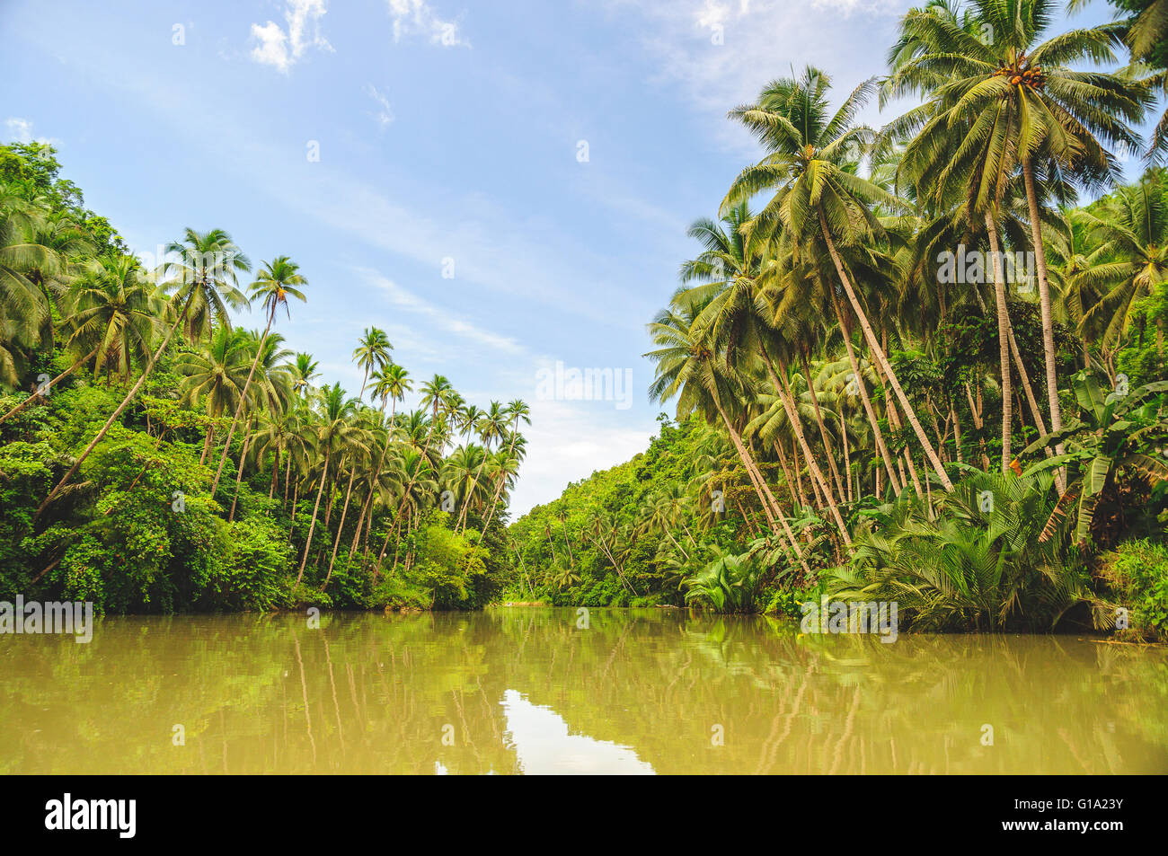 Loay Fluss in der Nähe von Loboc in Bohol Stockfoto