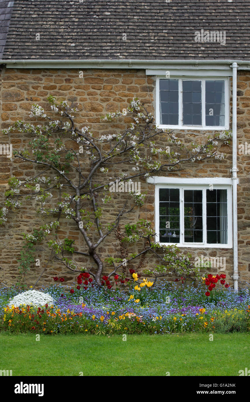 Frühling Blumen vor einer Hütte in Adderbury, Oxfordshire, England Stockfoto