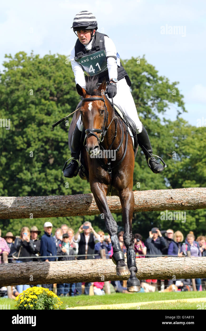 Alan Nolan (Irland) auf Bronze Flug Reiten Cross Country bei Land Rover Burghley Horse Trials, 5. September 2015 Stockfoto