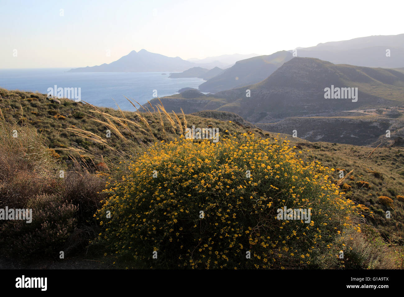 Küsten Blick nach Westen, Rodalquilar, Cabo de Gata Naturpark, Almeria, Spanien Stockfoto