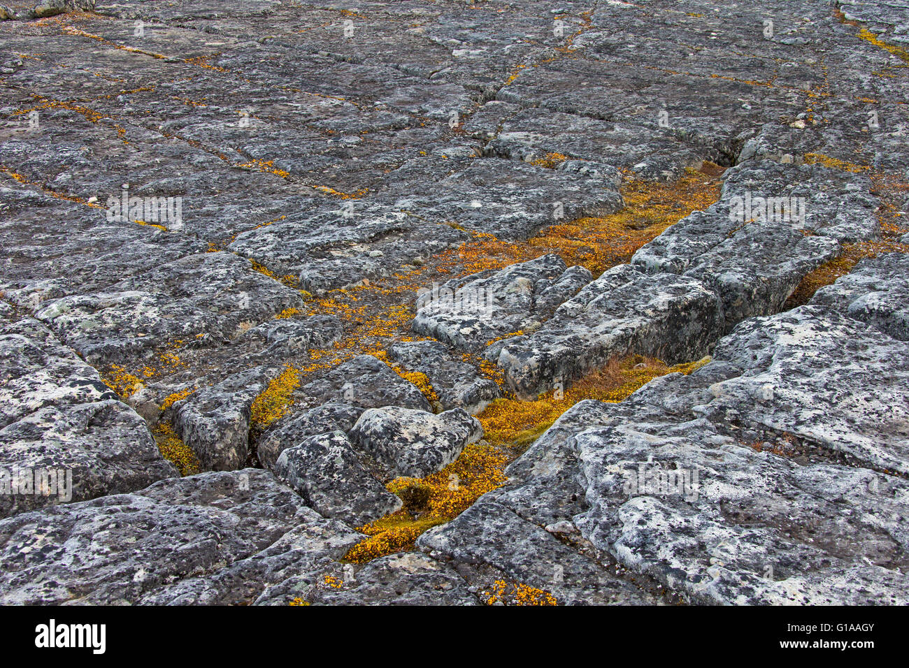 Teilen Felsformation am Boltodden, Kvalvagen, Svalbard / Spitzbergen, Norwegen Stockfoto