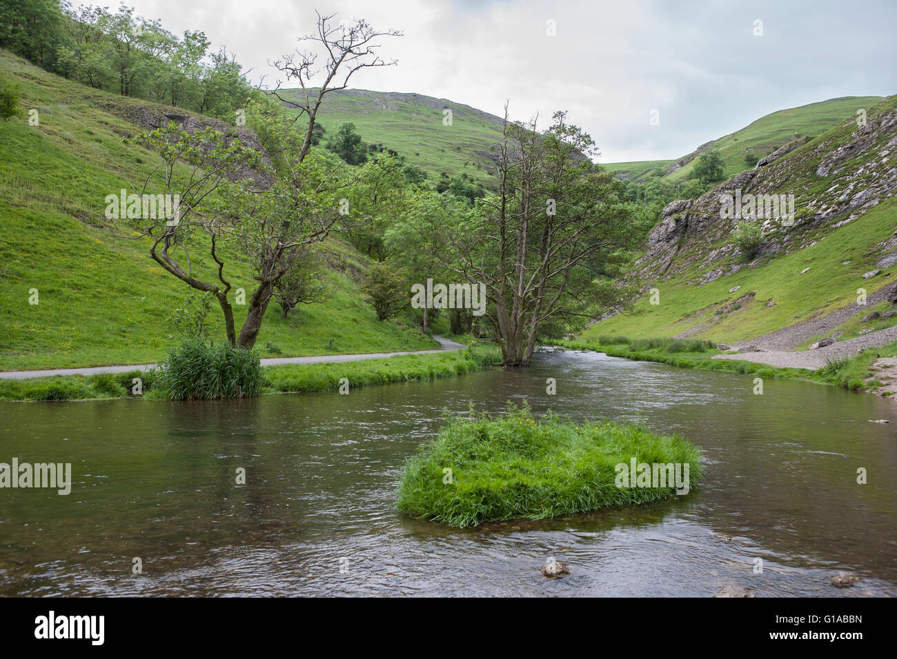 Die Fluss-Taube in der Nähe von Thorpe Cloud im Peak District, Derbyshire, England Stockfoto