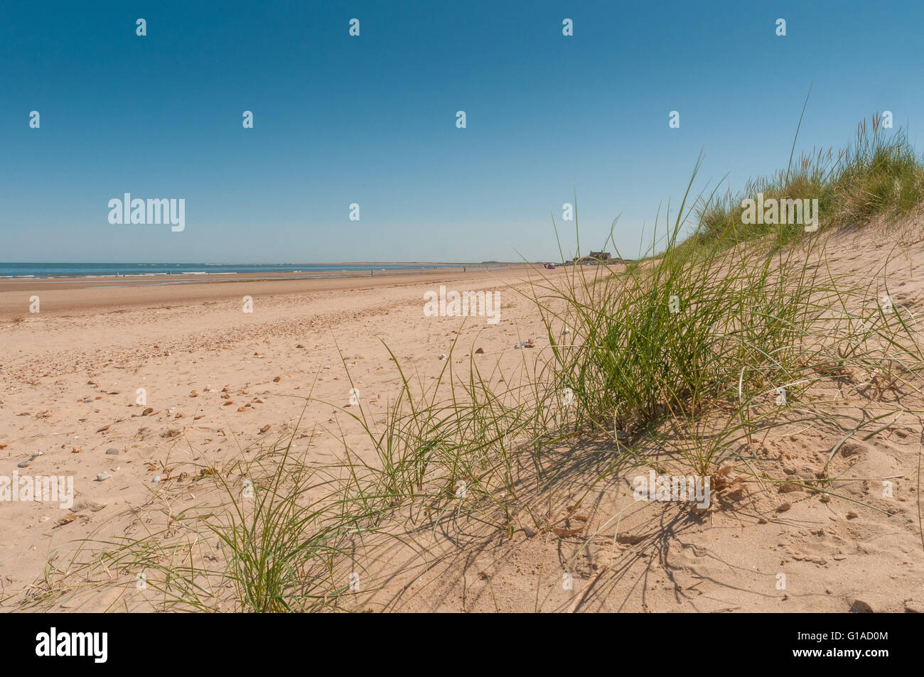 Landschaftsansicht Brancaster Strand und Dünen an der Küste von North Norfolk, England Stockfoto