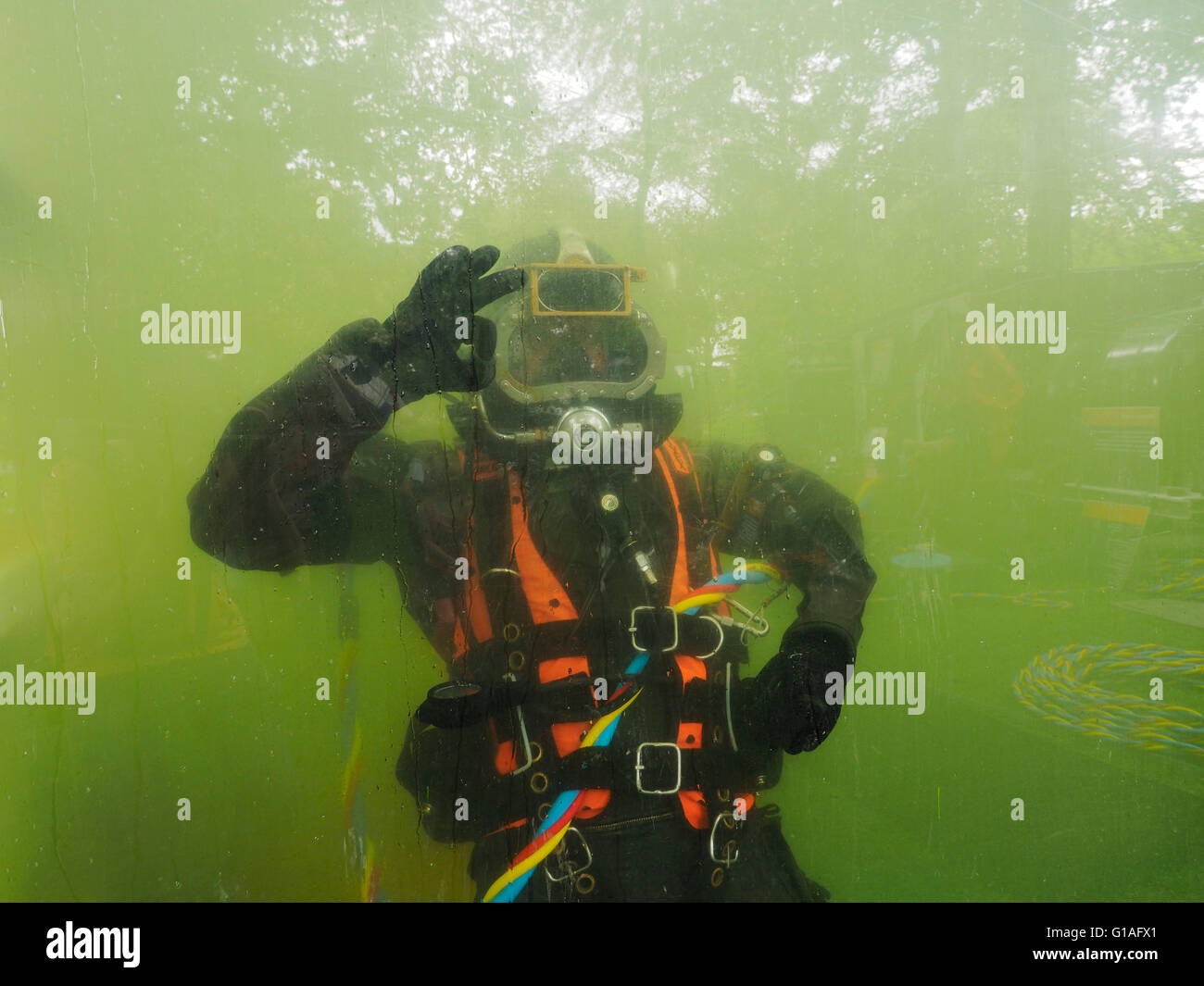 Taucher von der königlichen niederländischen Armee Ingenieure machen OK Zeichen unter Wasser, Breda, Niederlande Stockfoto
