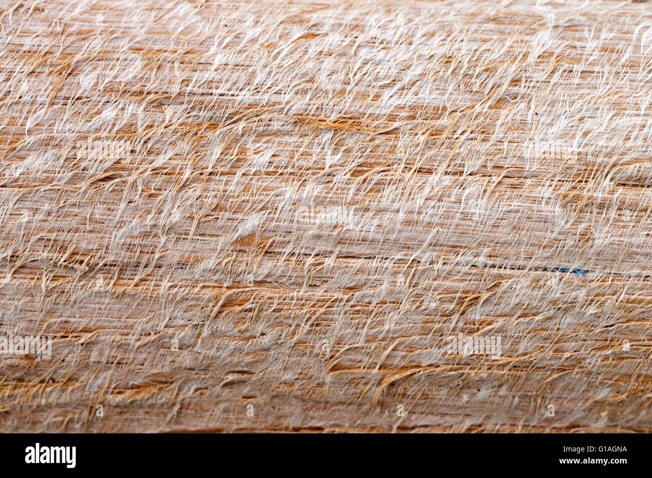 Textur des faserigen Holz closeup Stockfoto