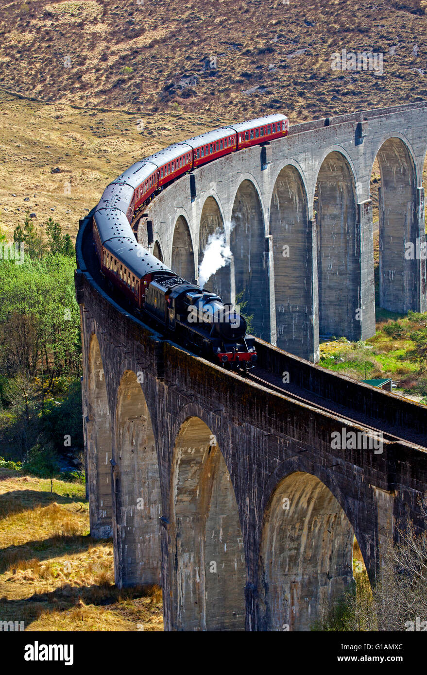 Lochaber, Schottland. Jacobite Steam Train Kreuzung Glenfinnan-Viadukt, Saison 2016 Reisen von Fort William nach Mallaig Stockfoto