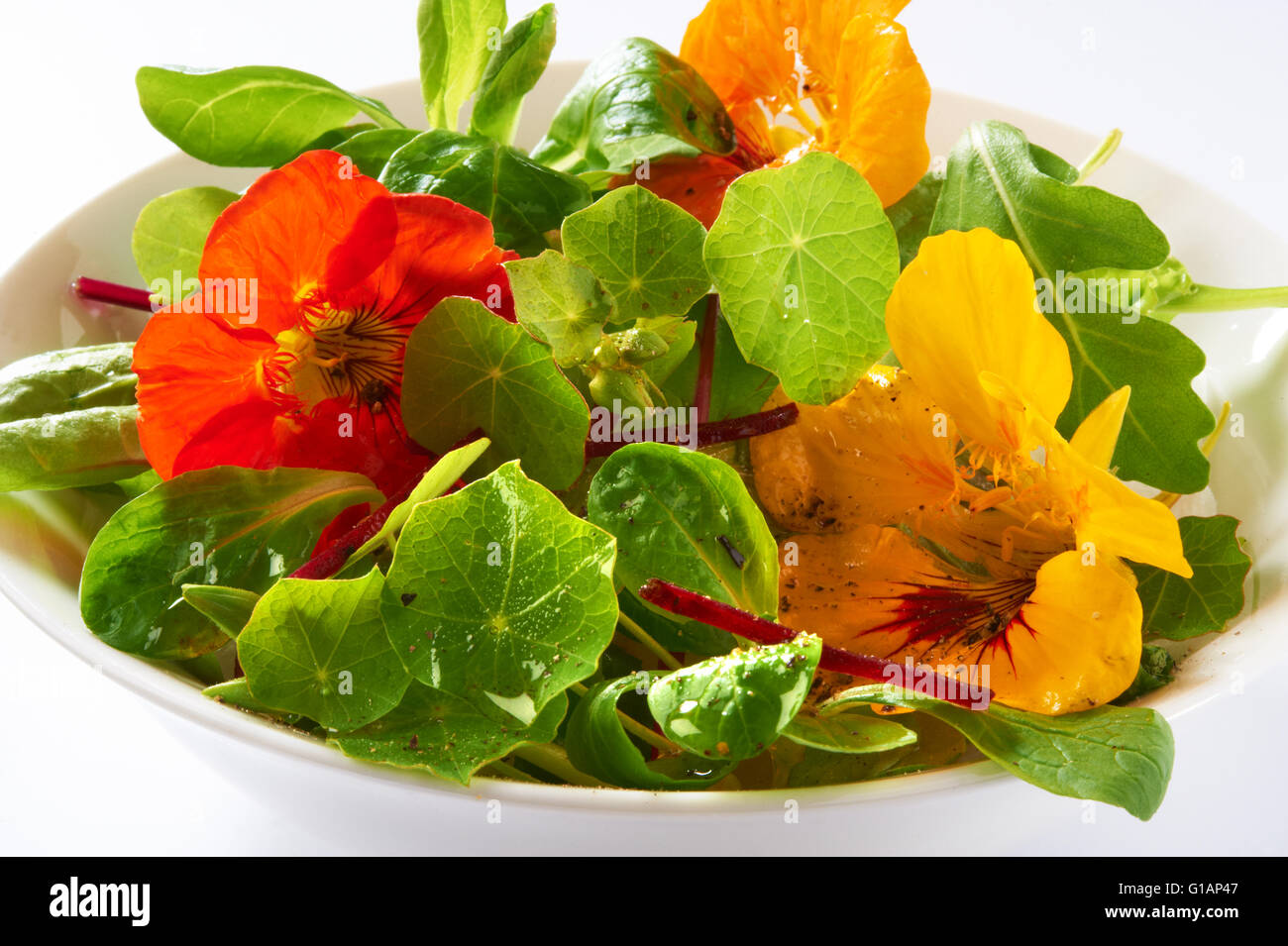 Frische Kapuzinerkresse blüht & Blätter Salat Stockfoto