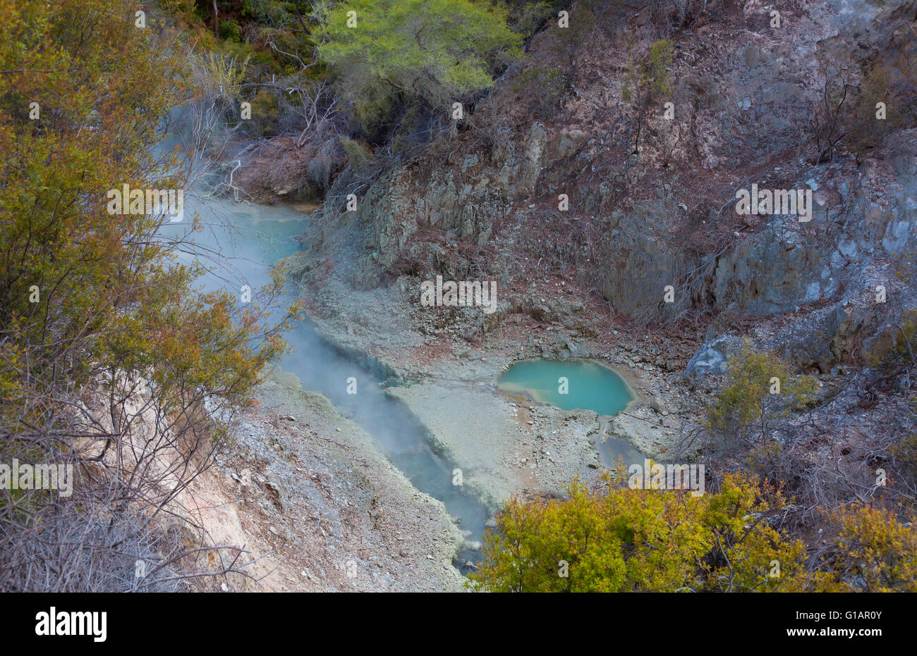 Geothermische Aktivität in Wai-O-Tapu Thermal Wonderland in Rotorua, Neuseeland Stockfoto