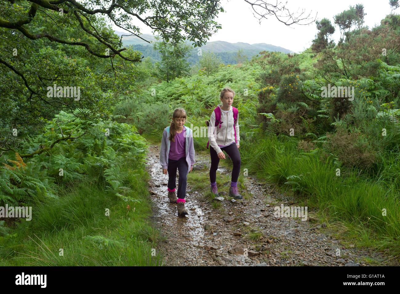 Der Weg vom Boot zum Burnmoor Tarn in Eskdale Cumbria Stockfoto