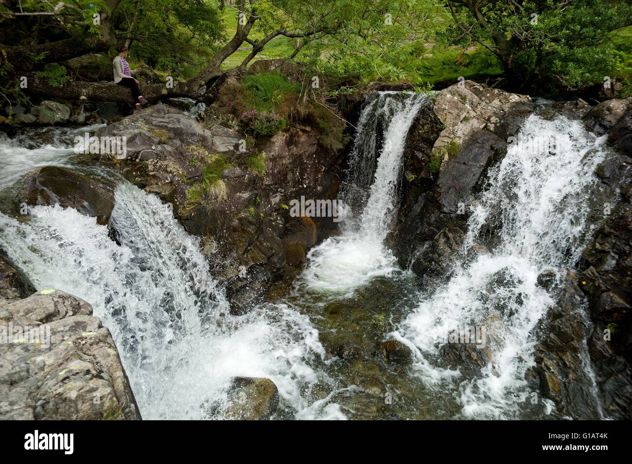 Wasserfälle auf Nether Beck, Wasdale West Cumbria England UK Stockfoto