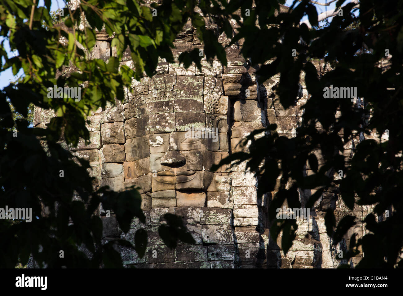 alten Prasat Bayon Tempel und Baum Rahmen, Angkor Thom, ist beliebte Touristenattraktion in Siem reap, Kambodscha Stockfoto