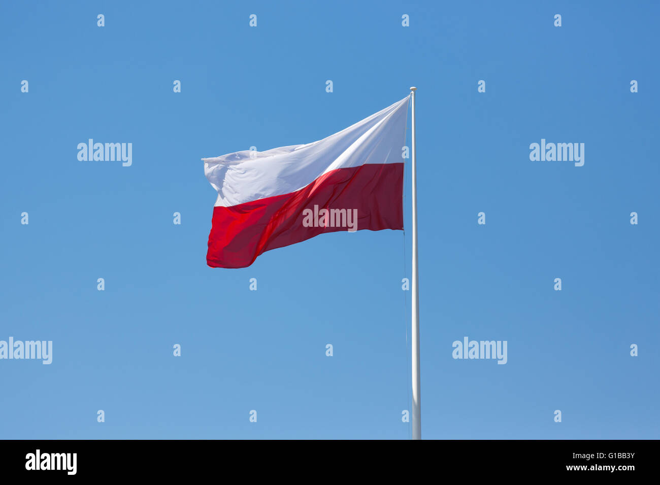 Flagge von Polen auf dem blauen Himmelshintergrund Stockfoto