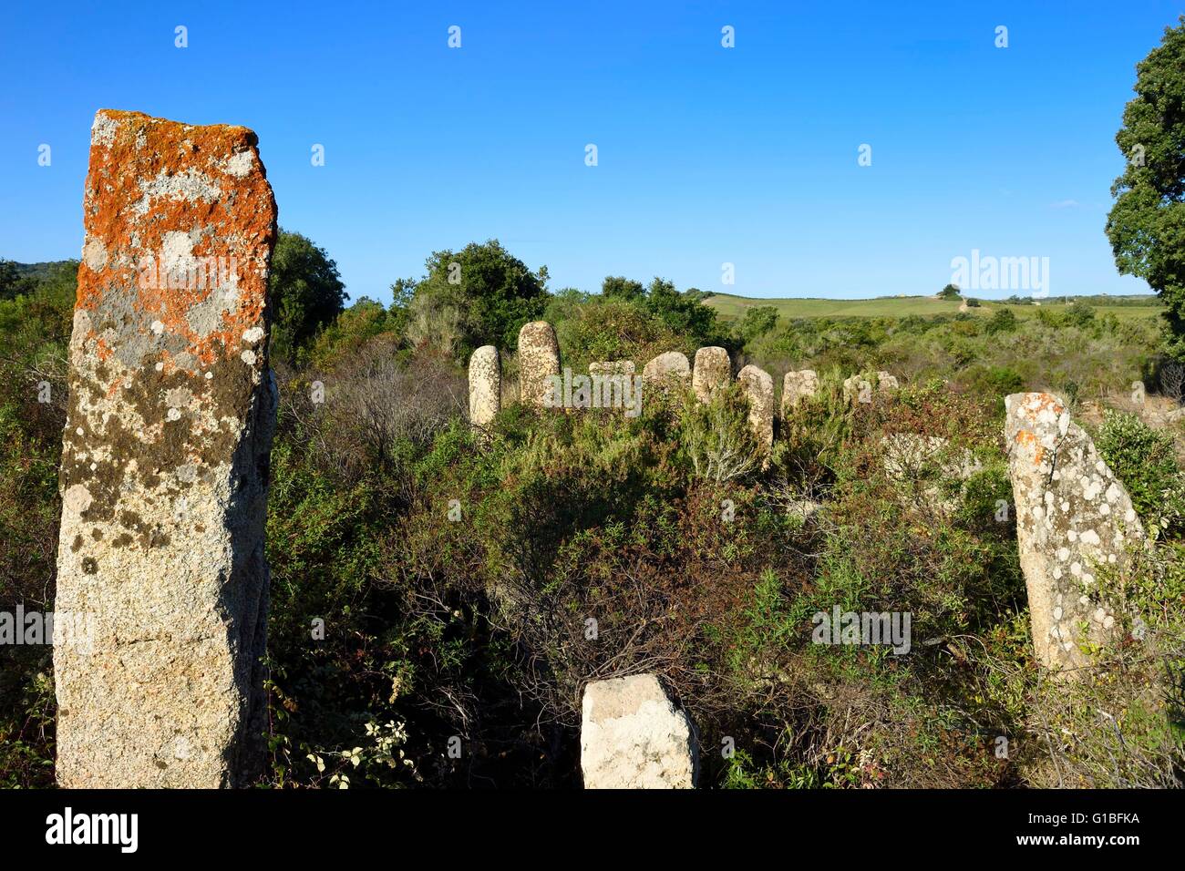 Frankreich, Corse du Sud, Sartene, Anordnung der Menhire von Palaggiu (Pagliaju), errichtet zwischen 1900 und 1000 v. Chr. mit seinen 258 Menhire, es ist die wichtigste der Mittelmeer-Region Stockfoto