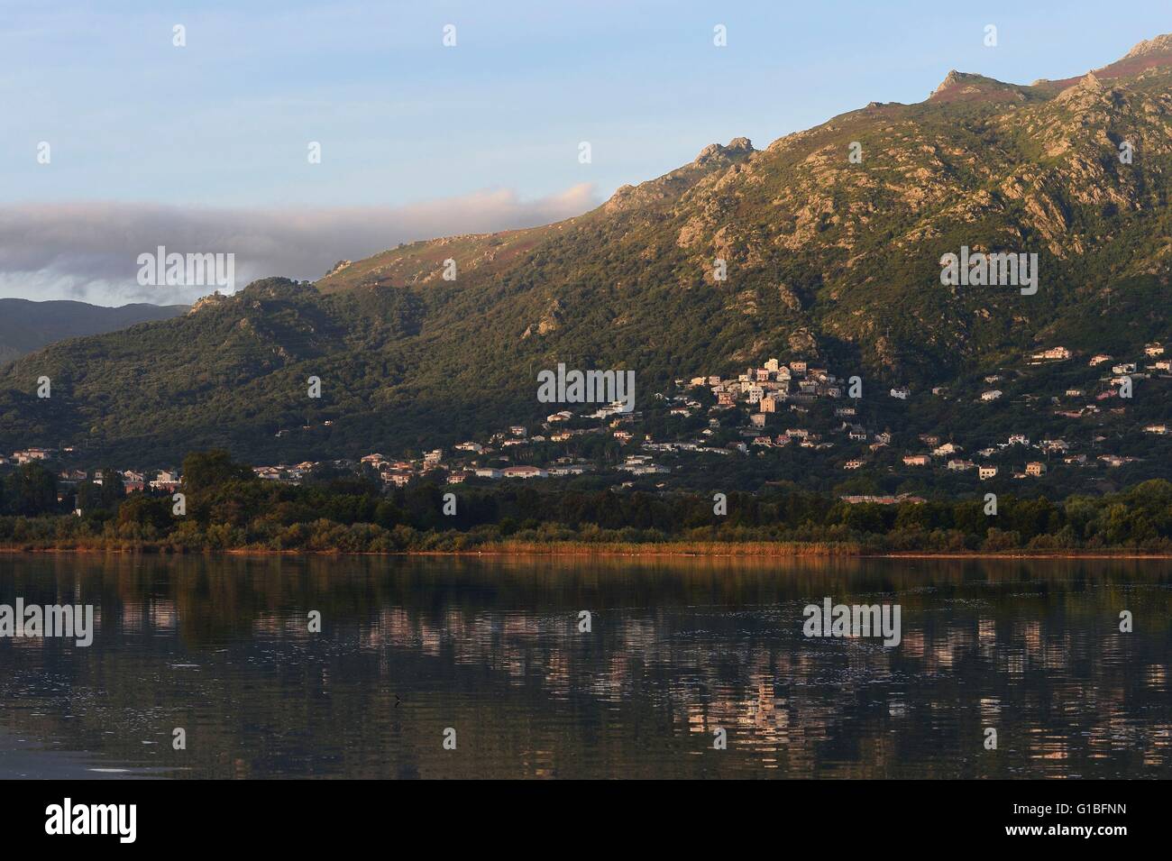 Frankreich, Haute Corse, Biguglia, am Ufer des Teiches von Biguglia (Stagnu di Chiurlinu), Naturpark von Korsika (RNC) Stockfoto