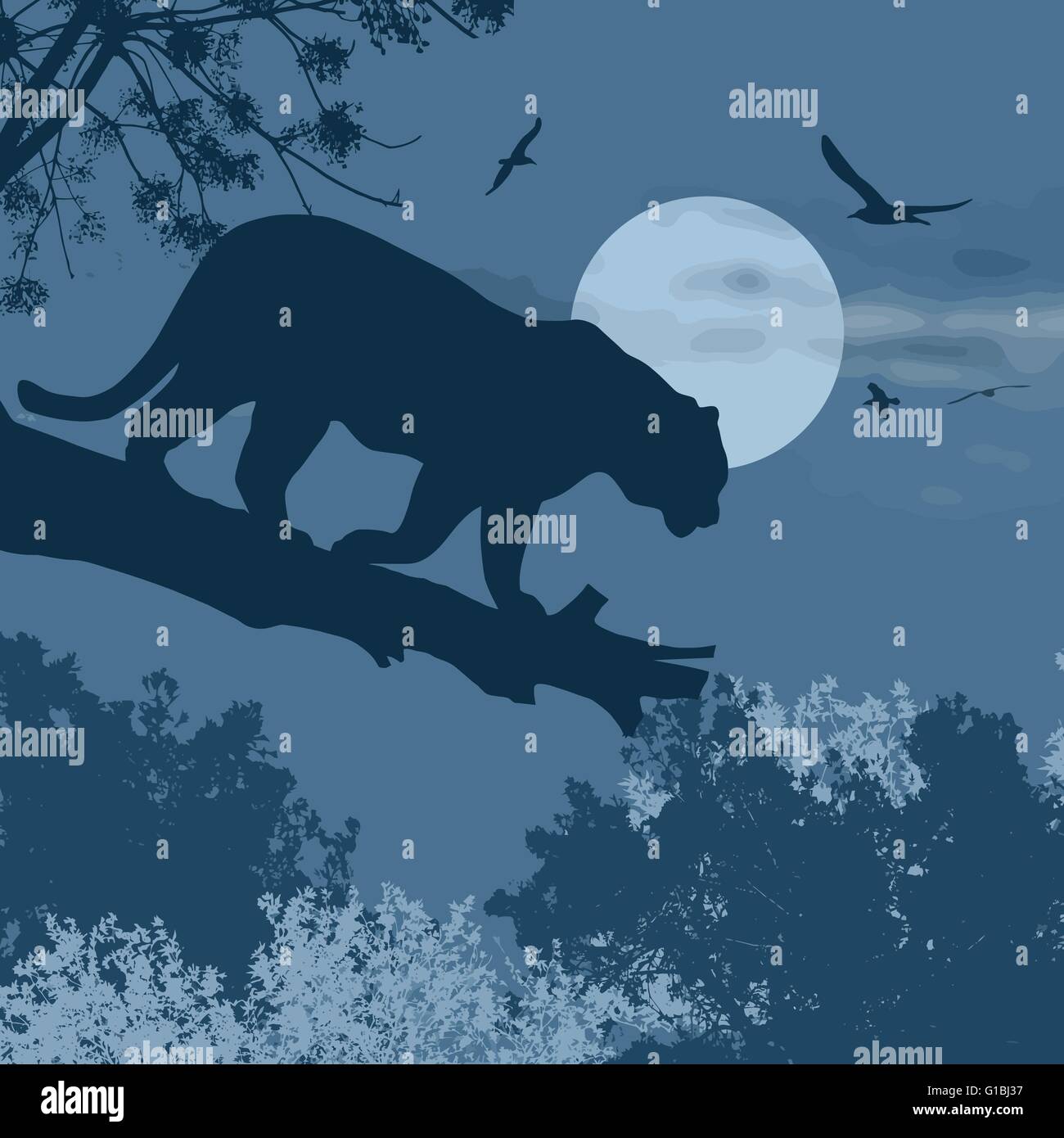 Silhouette-Ansicht der Panther auf einem Baum gegen den Mond in der blauen Nacht, Vektor-illustration Stock Vektor