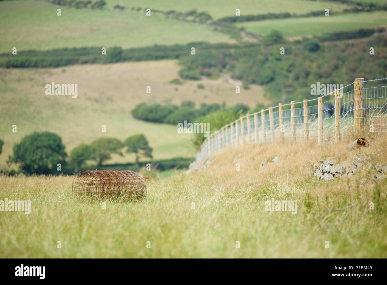 Neue Post und Draht landwirtschaftliche Lager Fechten auf einem historischen Clawdd Wand, Wales, UK Stockfoto