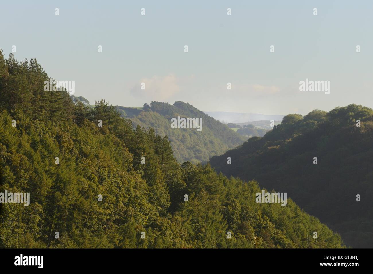 Wald im Tal Wyre gemischt, eine geologische Störung Linie, Ceredigion, Wales, Vereinigtes Königreich. Stockfoto