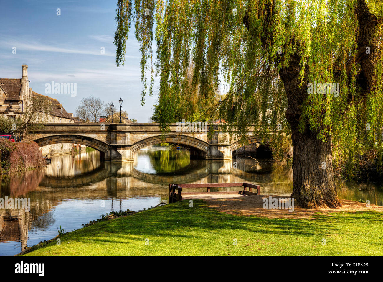 Stamford, Lincolnshire UK Stadt Fluss Welland Brücke weeping willow Baum SALIX England englische Städte Stockfoto