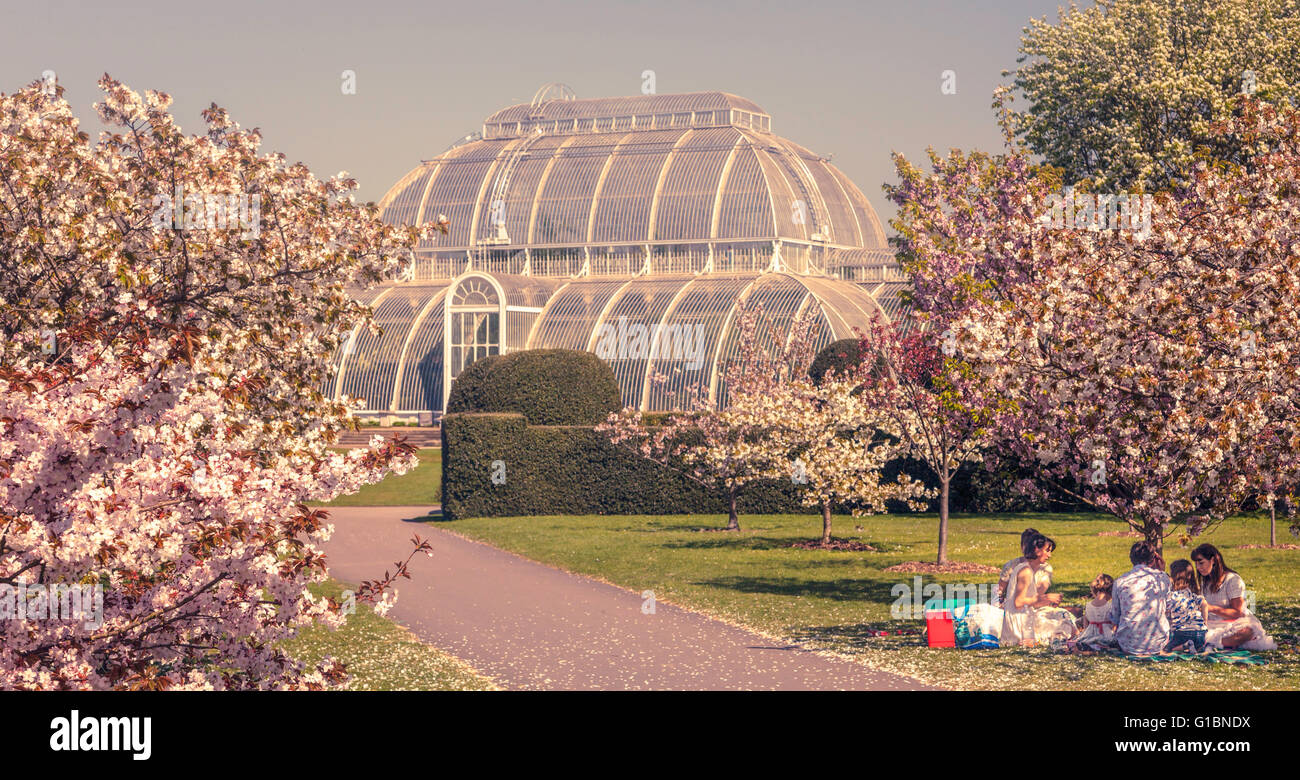 Eine Familie Stege in den Boden des Palm House, Kew Gardens, West-London, UK. Stockfoto