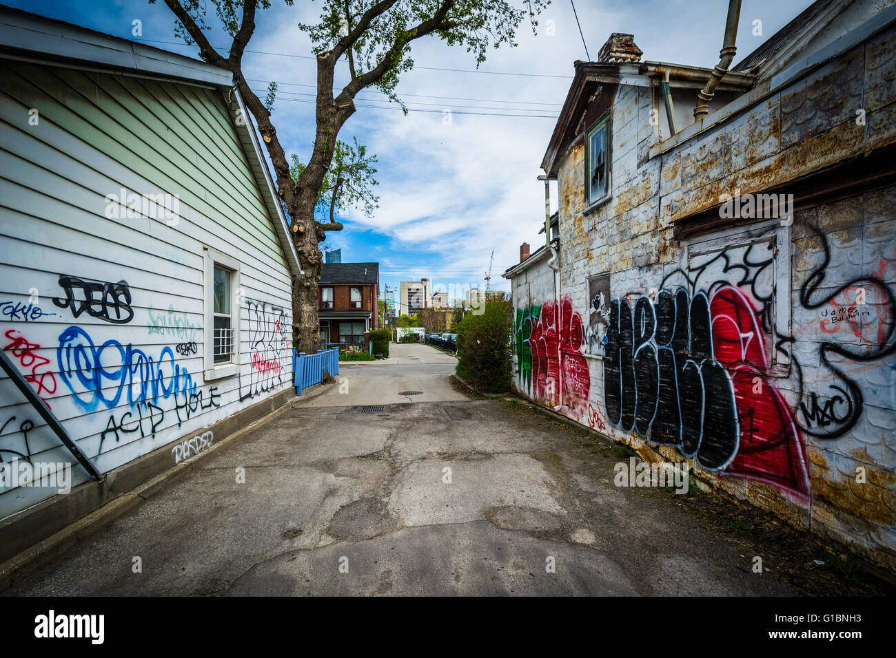 Graffiti in einer Gasse in der Nähe von Chiantown in Toronto, Ontario. Stockfoto