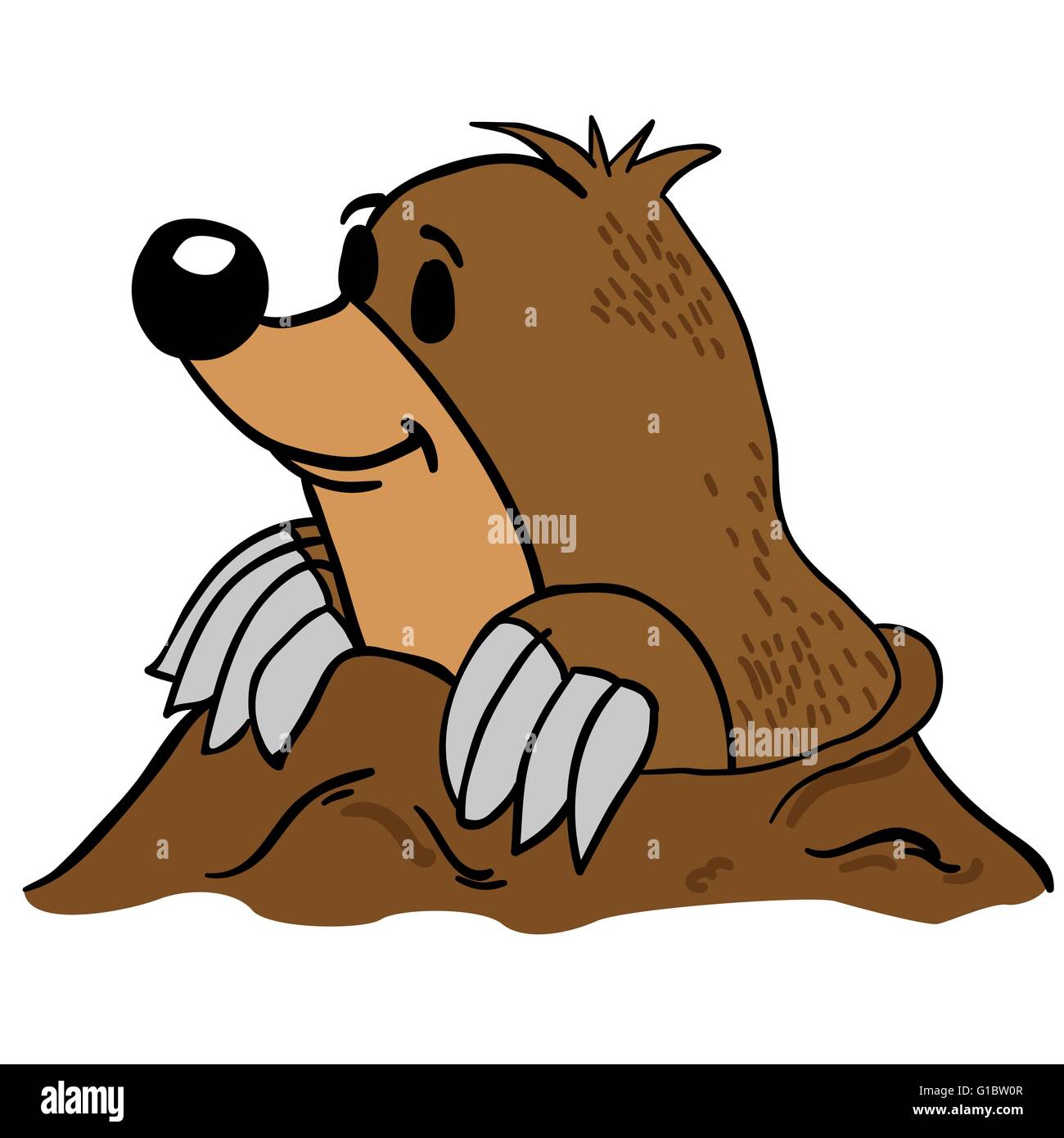 Maulwurf Cartoon Stockfotos Und bilder Kaufen Alamy