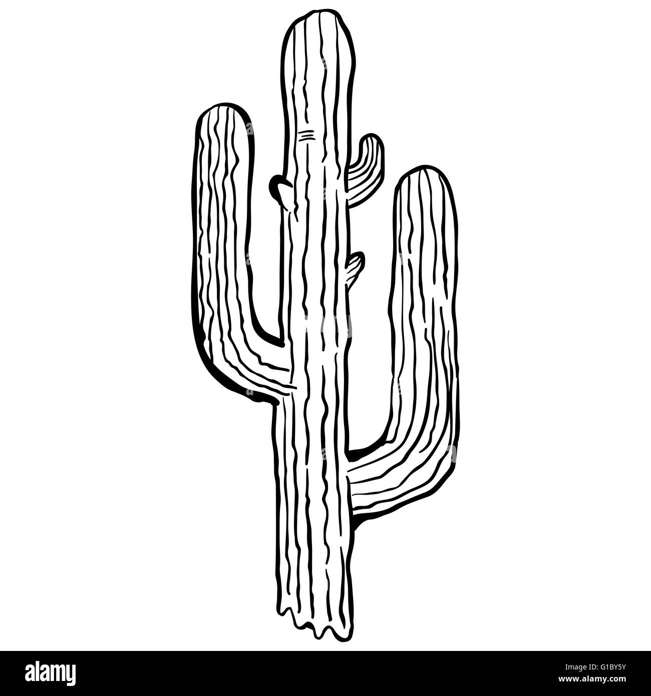 einfache Schwarz-weiß Kaktus cartoon Stock Vektor