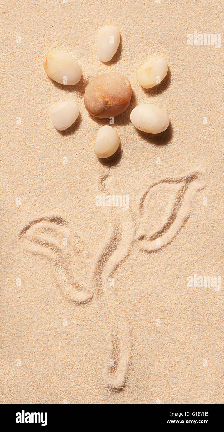 Blume des Meeres gemacht Edelsteine mit Stiel und Blätter auf Sand gezeichnet. Sommer Strand Hintergrund. Ansicht von oben Stockfoto