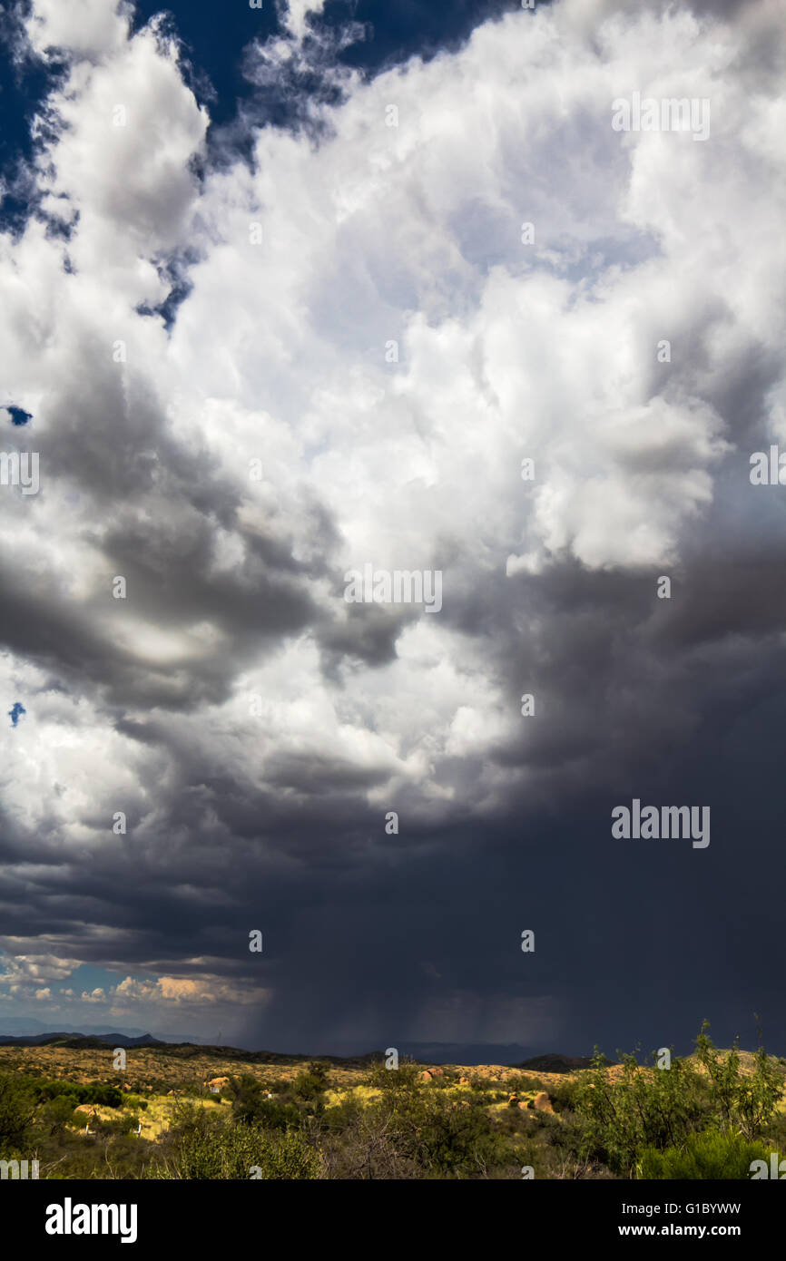 Dunkle Wolken aus einem herannahenden Gewitter in der Nähe von Oracle, Arizona, USA Stockfoto