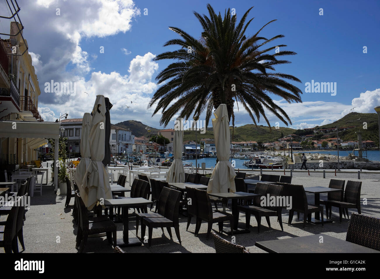 Palme und leeren Café-Restaurant Tische mit Plätzen auf dem Bürgersteig an der Hafenpromenade mit Blick auf die Stadt Kai. Stockfoto