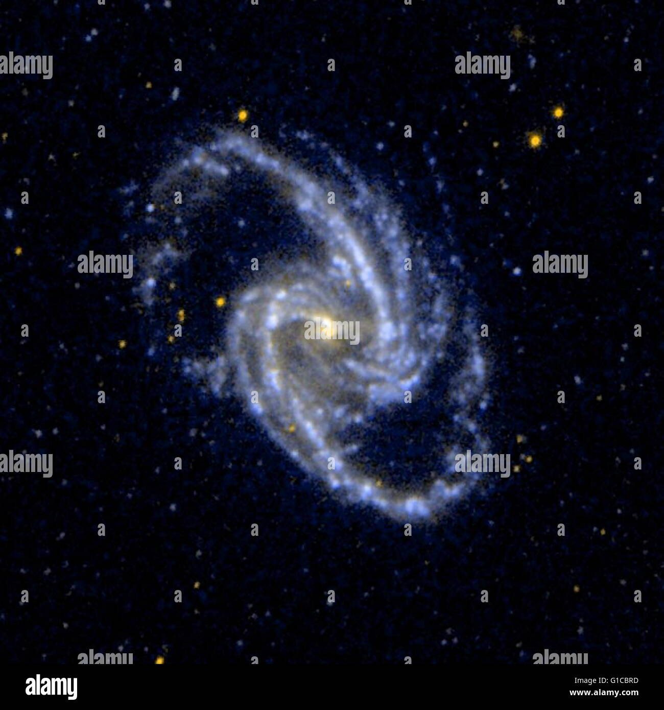 UV Bild der vergitterten Spiralgalaxie NGC 1365, Mitglied des Fornax Cluster von Galaxien ist. Vom 2005 Stockfoto