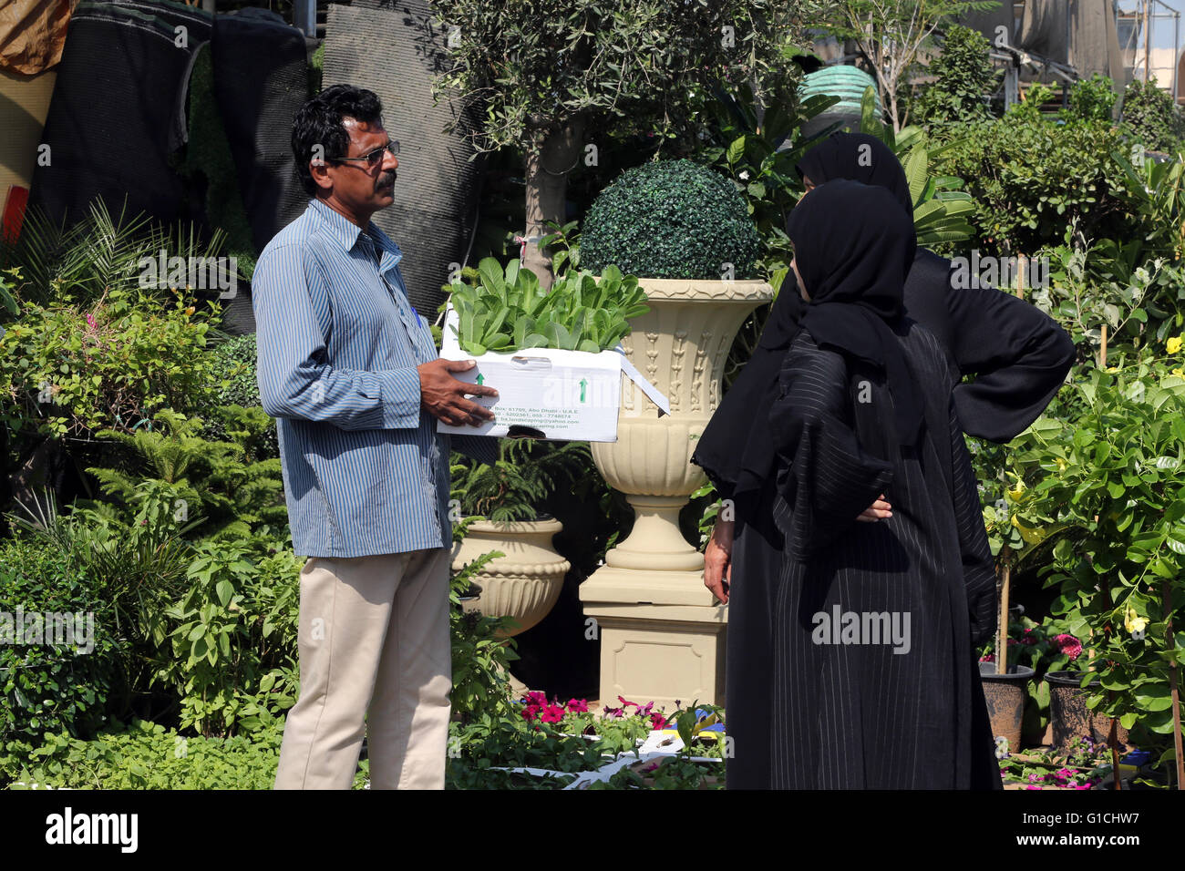 Die Pflanze Souk am Mina Zayed, Abu Dhabi.  Vereinigte Arabische Emirate. Stockfoto