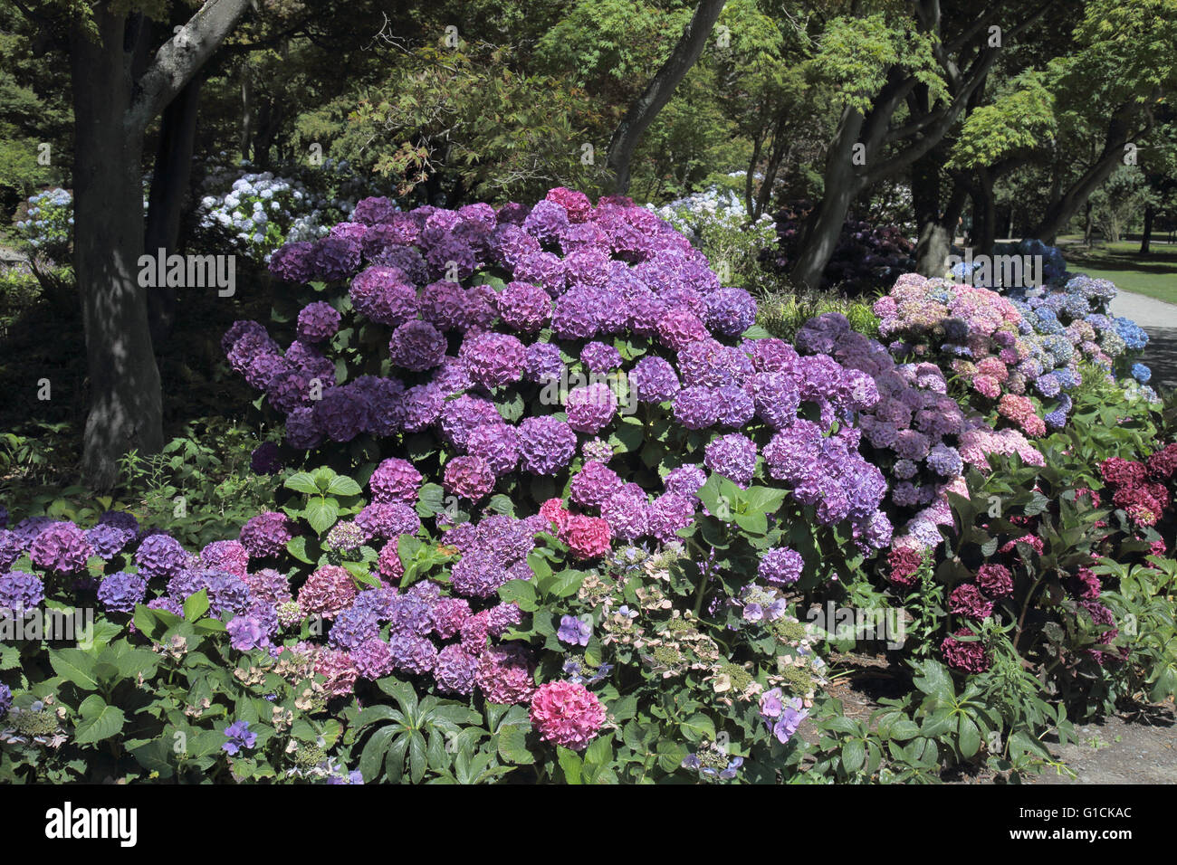der Botanische Garten in Christchurch Neuseeland Stockfoto