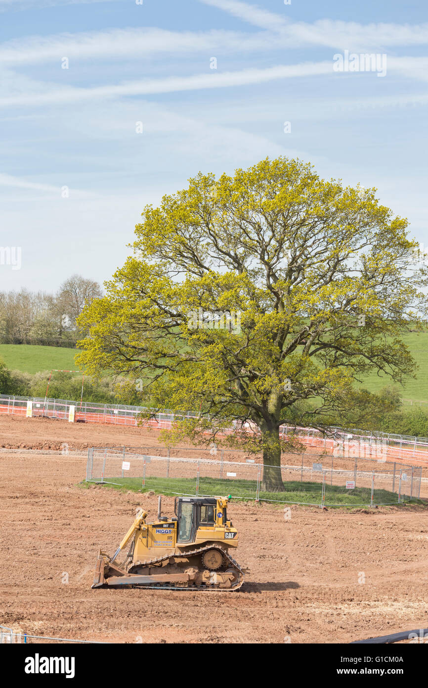 Neuentwicklung auf dem ehemaligen Grüngürtel Land mit einem Schutzzaun runden eine Eiche, England, UK Stockfoto