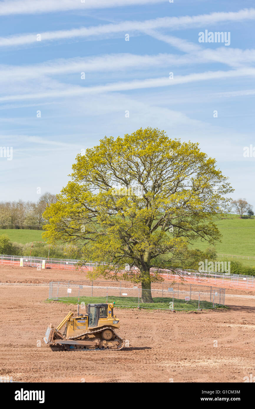 Neuentwicklung auf dem ehemaligen Grüngürtel Land mit einem Schutzzaun runden eine Eiche, England, UK Stockfoto