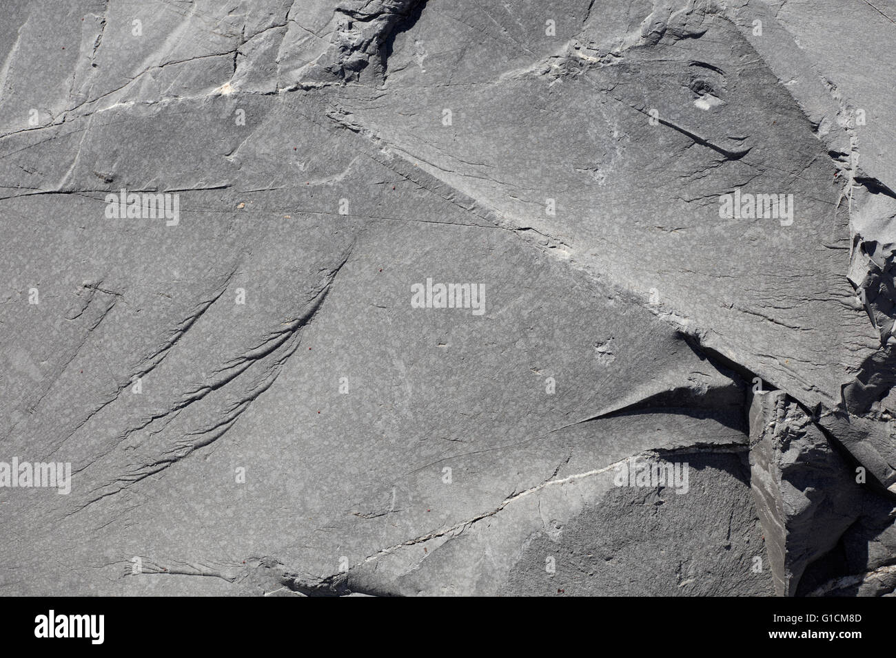 Grauen unebenen Felsen Textur Hintergrund in direktem Sonnenlicht Stockfoto
